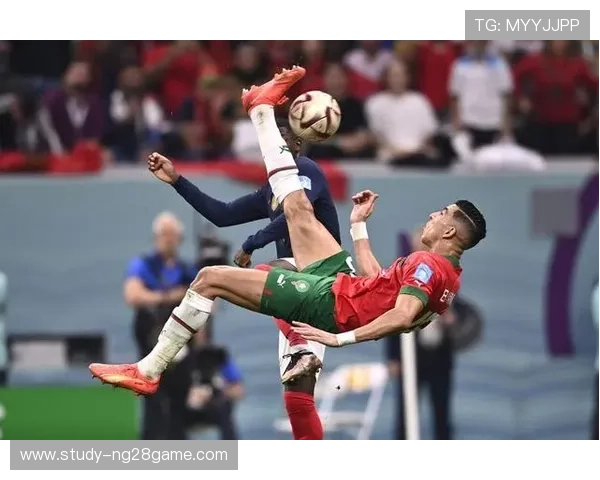 世界杯精彩瞬燃点燃球迷热情多场比赛赛况回顾与精彩瞬间解析