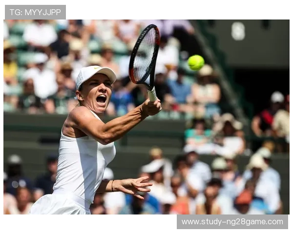 全球网球赛季精彩纷呈 德约科维奇与哈勒普再度争锋